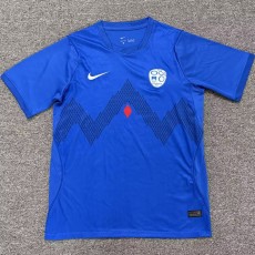 2026 Slovenia Home Fans Soccer jersey