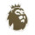 Premier league Champions