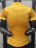 2026 Argentina Golden Player Training Shirts