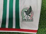 [PLAYER] 2026 Mexico Home Green Player Kids Soccer jersey