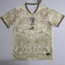 2026 Brazil Special Edition Fans Soccer jersey