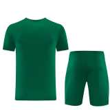 2026/27 AD Green Training Shirts