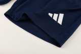 2026/27 AD Royal blue Training Shorts Suit