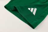 2026/27 AD Green Training Shirts