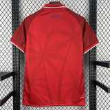2026 Haiti 3RD Fans Soccer jersey