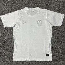 2026 Norway 3RD Fans Soccer jersey