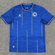 2026 Bosnia and Herzegovina Home Fans Soccer jersey