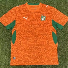 2026 Ivory Coast Home Orange Fans Soccer jersey