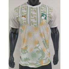 [PLAYER] 2026 Ivory Coast Away Player Soccer jersey
