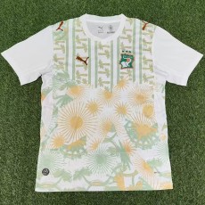 2026 Ivory Coast Away Fans Soccer jersey