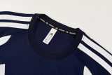 2026/27 AD Royal blue Training Shorts Suit