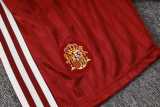 2026 Spain Brown Red Training Shorts Suit