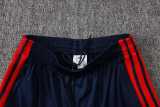 2026/27 Bayern Royal blue Training Shorts Suit