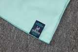 2026 Germany Light Green Training Shorts Suit