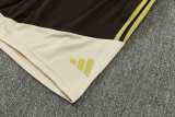 2026/27 Flamengo Brown Training Shorts Suit