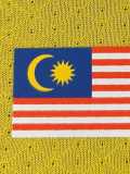 [PLAYER] 2026 Malaysia Home Player Soccer jersey