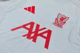 2026/27 LIV Gray Training Shorts Suit