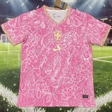 2026 Brazil Pink Training Shirts