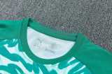 2026 Portugal Green Training Shorts Suit