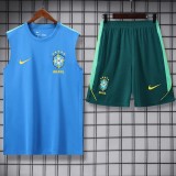 2026 Brazil Light blue Training Shorts Suit