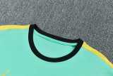 2026 Brazil Light Green Training Shorts Suit