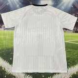 2026 Argentina Special Edition Training Shirts