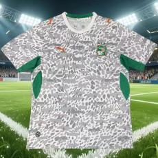 2026 Ivory Coast Gray Training Shirts
