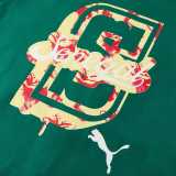 2026 Senegal Green Tracksuit