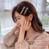 Daily Minimalist Hair Clip