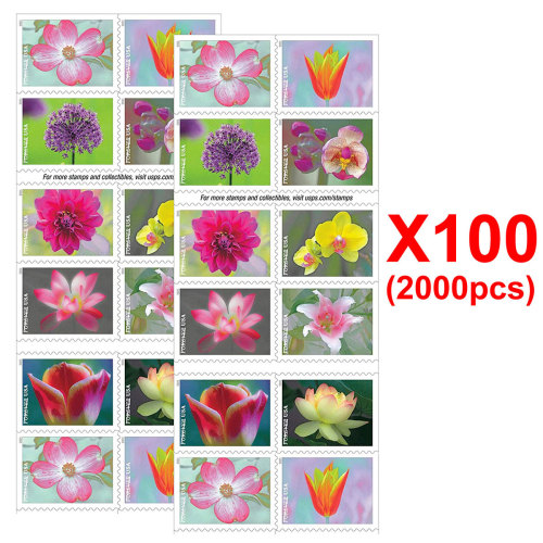 Garden Beauty 2021, 2000 Pcs