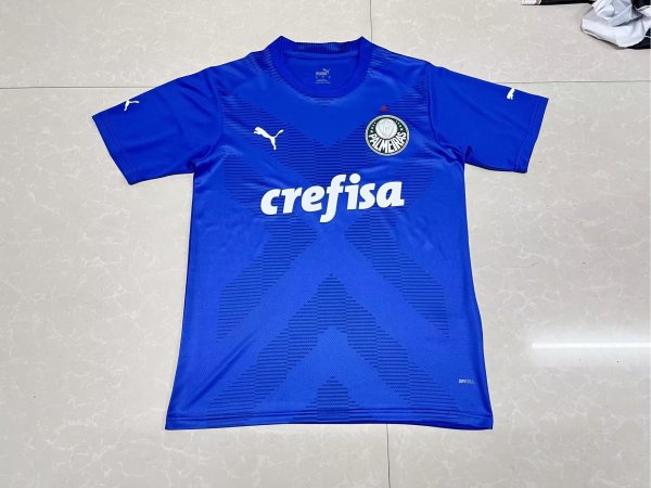 23/24 Palmeiras Blue Goalkeeper Fans 1:1 Quality Soccer Jersey