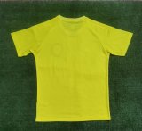 23/24 Scotland Yellow Goakeeper Fans 1:1 Quality Soccer Jersey