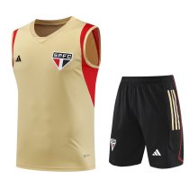 23/24 Sao Paulo Yellow 1:1 Quality Training Vest（A-Set）