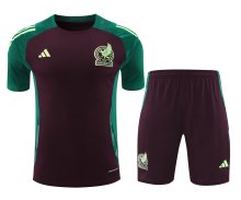 24/25    Mexico  Wine Red  And Green  1:1 Quality Training Jersey（A-Set）