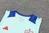 24/25 Spain  Blue 1:1 Quality Training Jersey  Vest（A-Set）