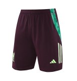 24/25  Mexico Green  And Burgundy  1:1 Quality Training Jersey（A-Set）