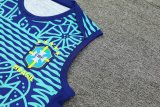 24/25 Brazil Blue 1:1 Quality Training Vest （A-Set）