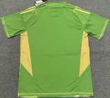 24/25 Argentina Goalkeeper Green Fans 1:1 Quality Soccer Jersey