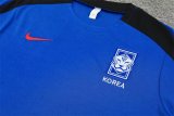 24/25 Korea Blue 1:1 Quality Training  Jersey（A-Set）