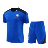 24/25 Korea Blue 1:1 Quality Training  Jersey（A-Set）