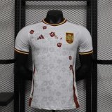 24/25 Spain Special Edition Player 1:1 Quality Soccer Jersey