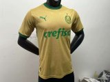 24/25 Palmeiras Third Player 1:1 Quality Soccer Jersey