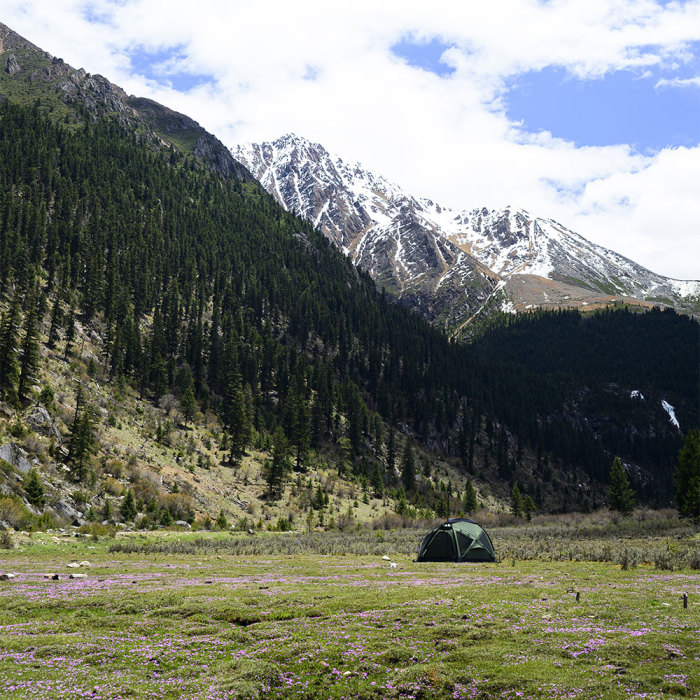 Dome X6 Pro | Freistehendes Campingzelt | POMOLY Neuheit 2024