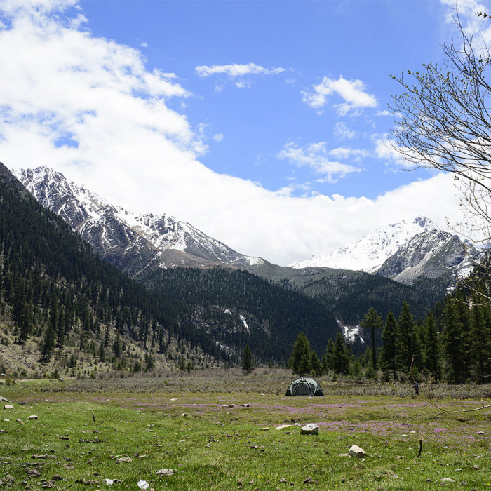 Dome X6 Pro | Freistehendes Campingzelt | POMOLY Neuheit 2024