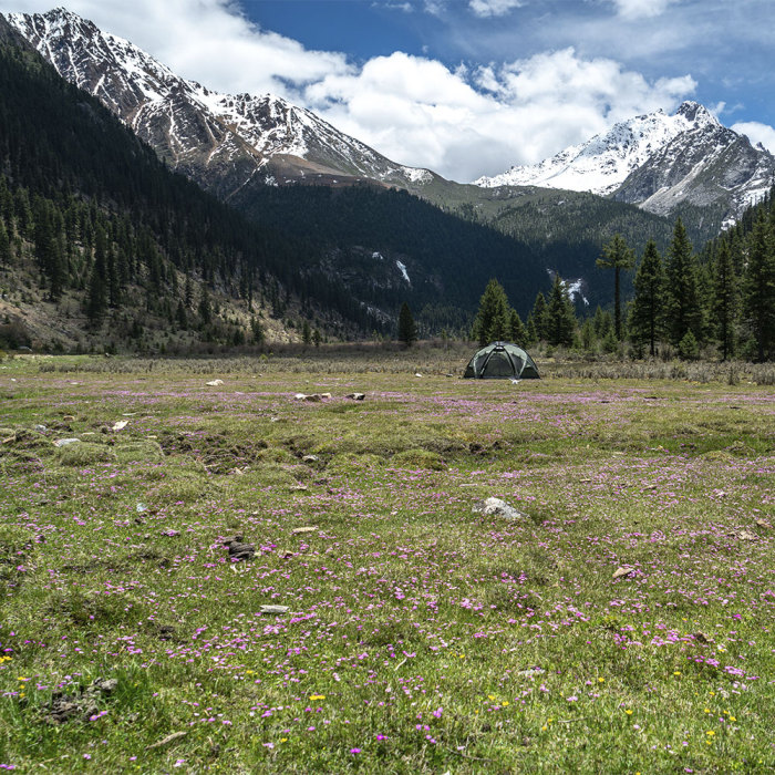 Dome X6 Pro | Freistehendes Campingzelt | POMOLY Neuheit 2024