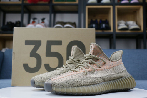 Yeezy Boost 350 V2 Eliada