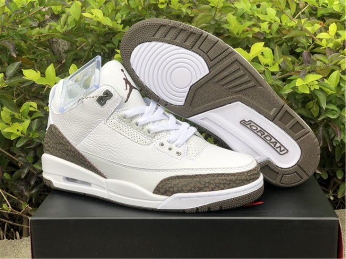 Air Jordan 3 Mocha