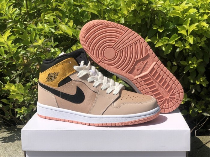 Air Jordan 1 Mid SE DD2224-200