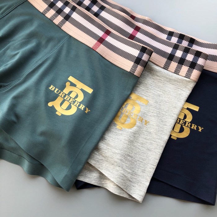Underpants Top 3 Pieces