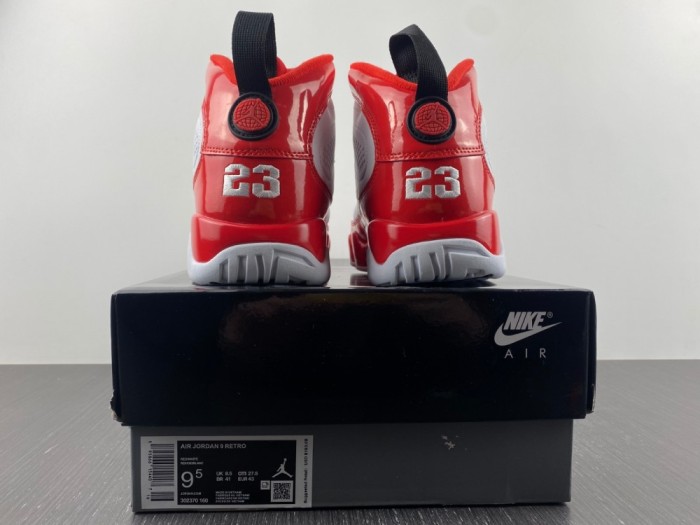 Air Jordan 9 302370-160